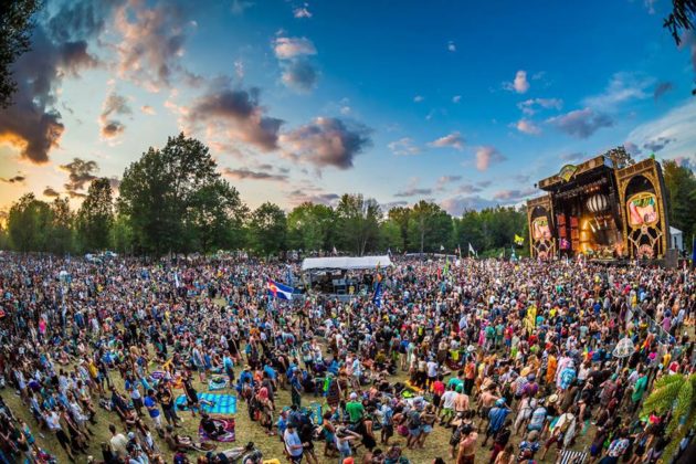 Electric Forest Organizers Announce Colorado Festival, \