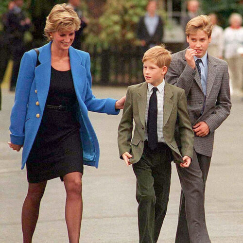 Princess Diana Used to Take Her Kids to McDonald's but Not for the ...