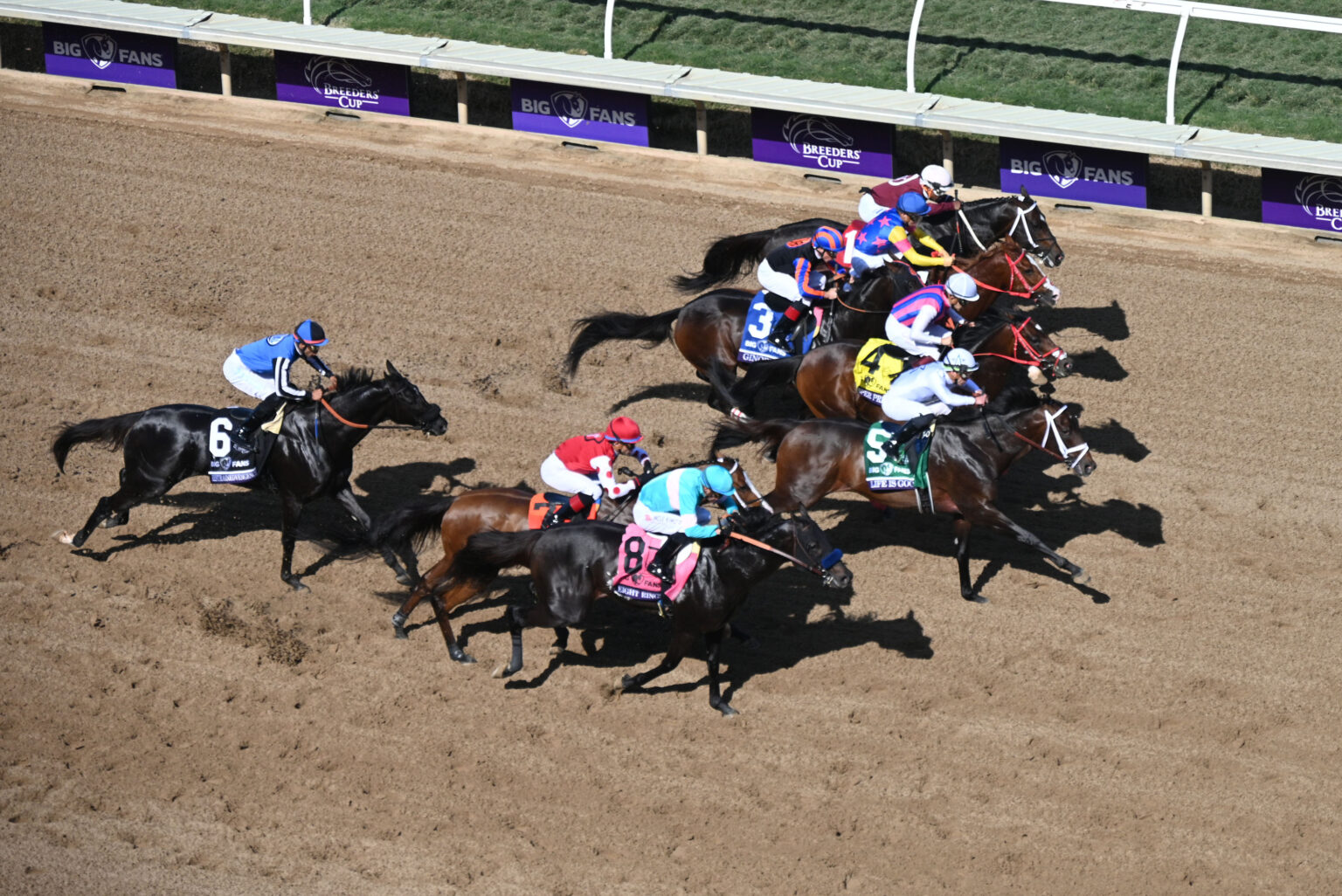 Everything You Need To Know About The Breeders' Cup - EDM Chicago