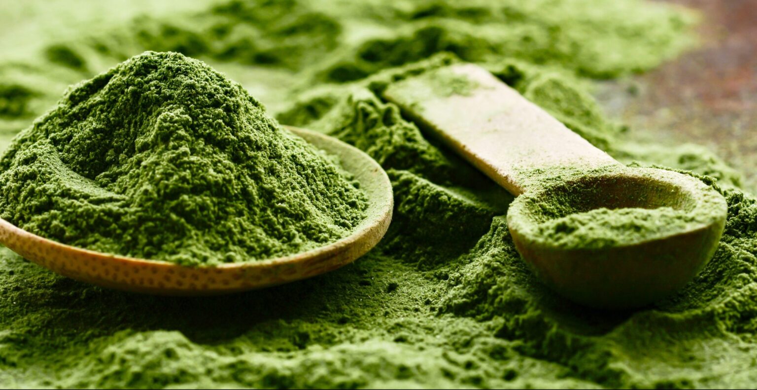 How To Properly Use Japanese Matcha Powder 2024 Guide EDM Chicago